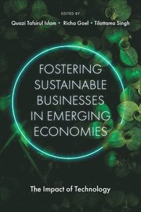 bokomslag Fostering Sustainable Businesses in Emerging Economies