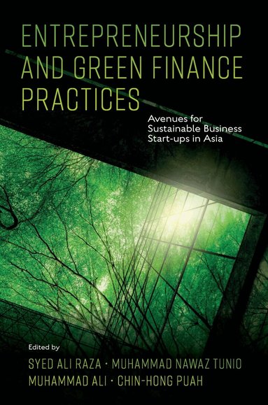 Syed Ali Raza, Muhammad Nawaz Tunio, Muhammad Ali, Chin-Hong Puah - Entrepreneurship and Green Finance Practices, Inbunden