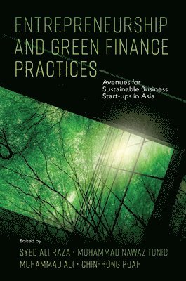 Entrepreneurship and Green Finance Practices 1