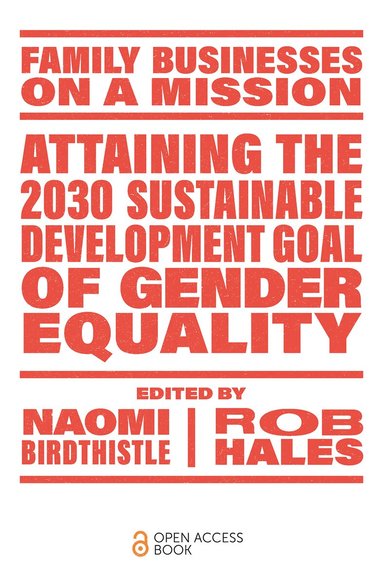 Naomi Birdthistle, Rob Hales - Attaining the 2030 Sustainable Development Goal of Gender Equality, Häftad