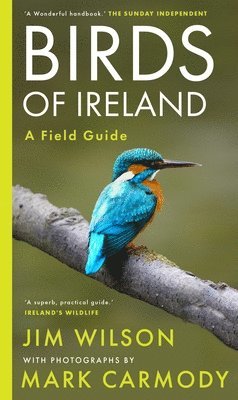 bokomslag Birds of Ireland