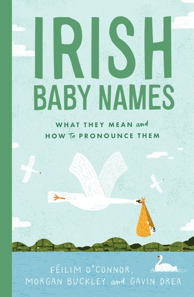 bokomslag Irish Baby Names