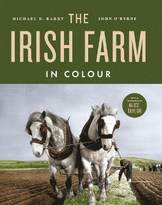 bokomslag Irish Farm in Colour