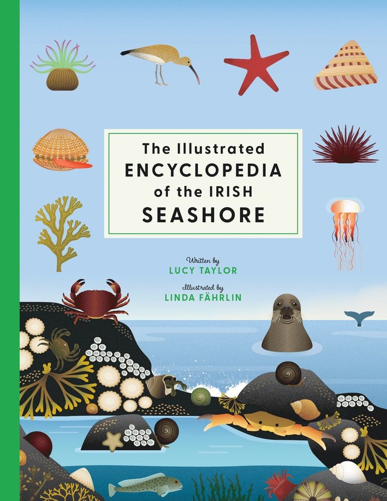 Lucy Taylor - Illustrated Encyclopedia of the Irish Seashore, Inbunden
