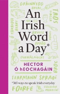 bokomslag Irish Word a Day