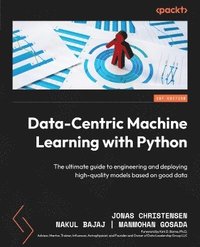 bokomslag Data-Centric Machine Learning with Python