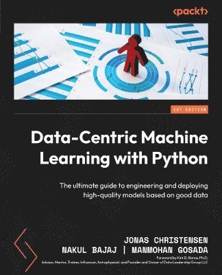 Data-Centric Machine Learning with Python 1