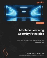 bokomslag Machine Learning Security Principles