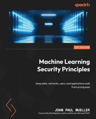 Machine Learning Security Principles 1