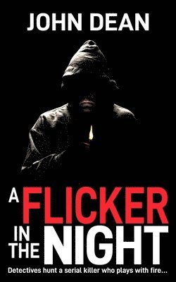 bokomslag Flicker in the Night