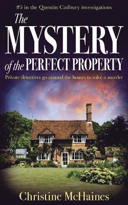 bokomslag Mystery of the Perfect Property