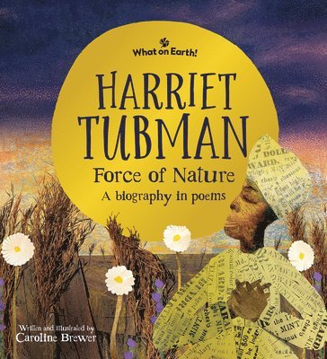 bokomslag Harriet Tubman, Force of Nature: A Biography in Poems