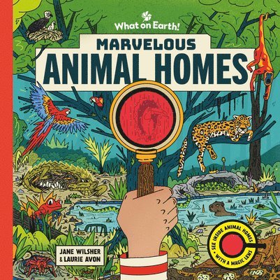 Marvelous Animal Homes: A Magic Lens Book 1