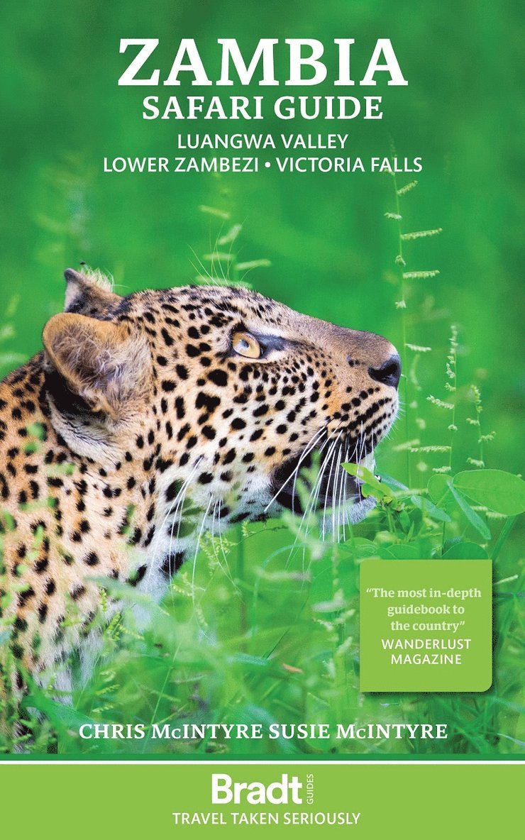 Chris McIntyre, Susan McIntyre, Susie McIntyre, Susie Mcintyre - Zambia Safari Guide, Häftad