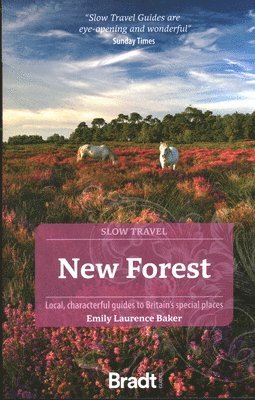 New Forest (Slow Travel) 1