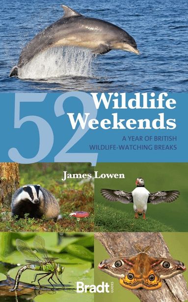 James Lowen - 52 Wildlife Weekends, Häftad