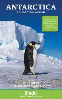 bokomslag Bradt Travel Guide: Antarctica: a guide to the wildlife