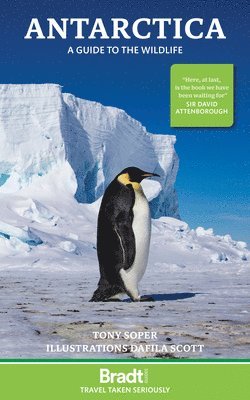 Bradt Travel Guide: Antarctica: a guide to the wildlife 1