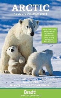 bokomslag Arctic