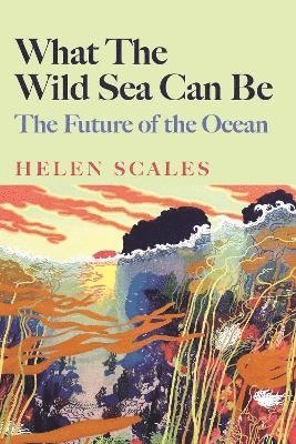 Helen Scales - What the Wild Sea Can Be, Häftad