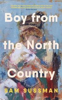 bokomslag Boy from the North Country