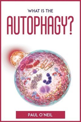 What Is The Autophagy? 1