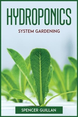 Hydroponics System Gardening 1