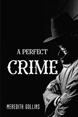 bokomslag Perfect Crime