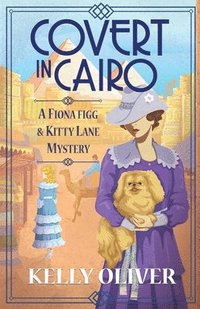 bokomslag Covert in Cairo