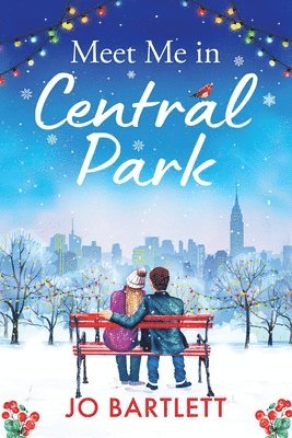 bokomslag Meet Me In Central Park