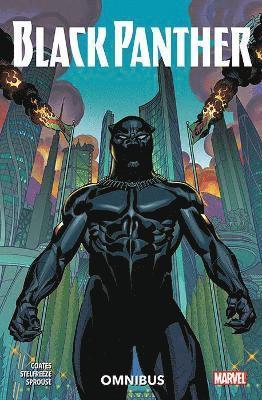 bokomslag Black Panther Omnibus