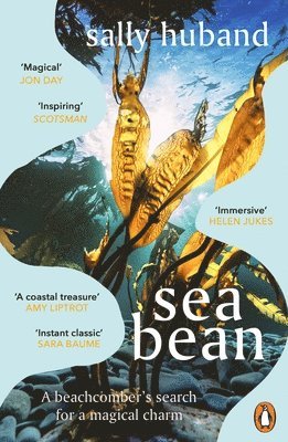 Sea Bean 1