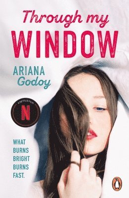 Ariana Godoy - Through My Window, Häftad