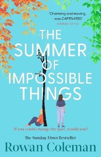bokomslag The Summer of Impossible Things