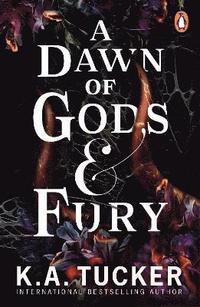 bokomslag A Dawn of Gods and Fury