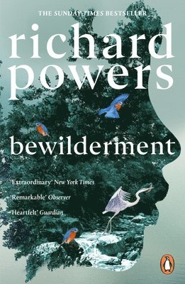 Richard Powers - Bewilderment, Häftad