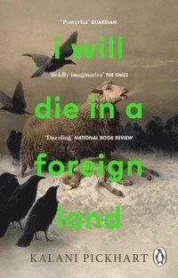 bokomslag I Will Die in a Foreign Land