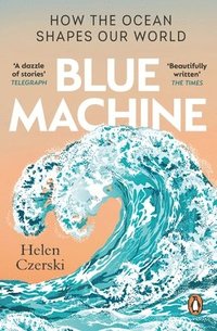bokomslag Blue Machine