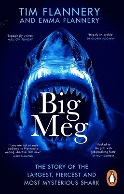 Big Meg 1
