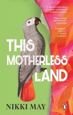 This Motherless Land 1