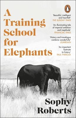Training School for Elephants