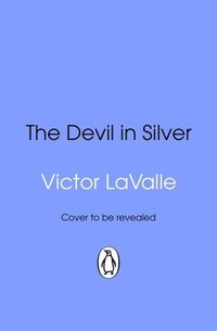 bokomslag Devil in Silver
