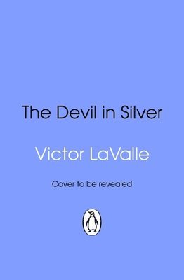 bokomslag Devil in Silver
