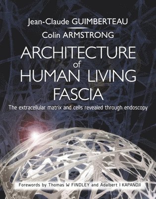 Architecture of Human Living Fascia 1