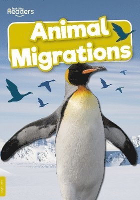 Animal Migrations 1