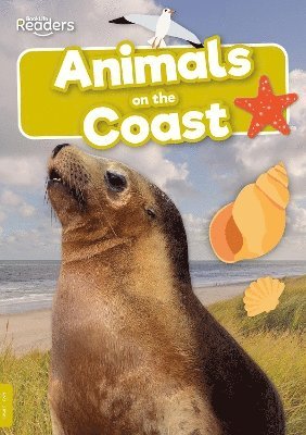bokomslag Animals on the Coast