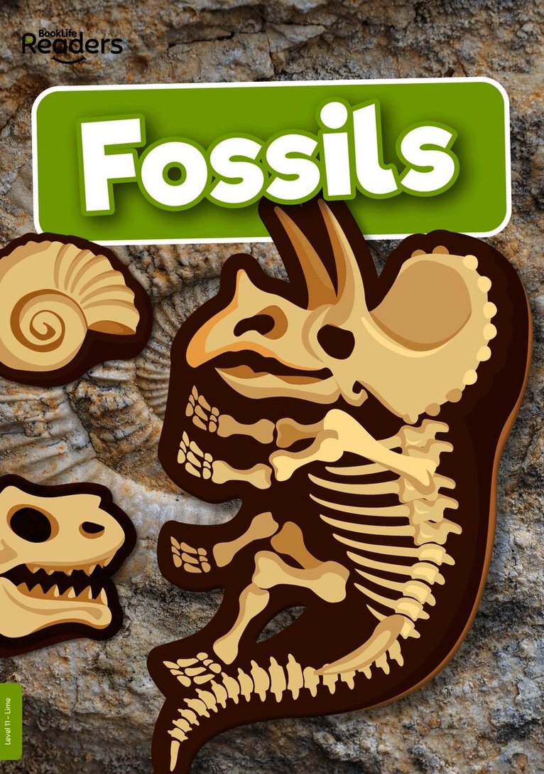 Kirsty Holmes - Fossils, Häftad