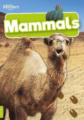 bokomslag Mammals