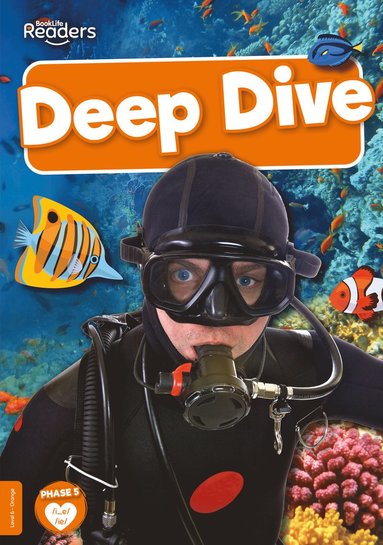 bokomslag Deep Dive