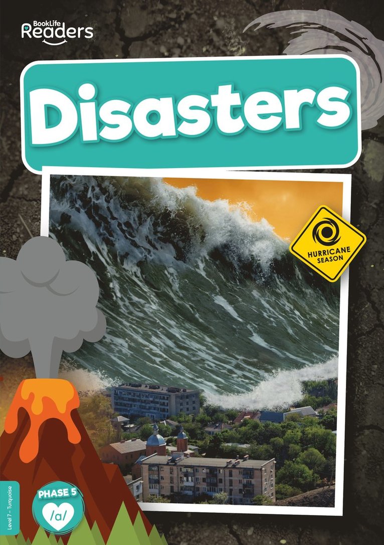 Louise Nelson - Disasters, Häftad
